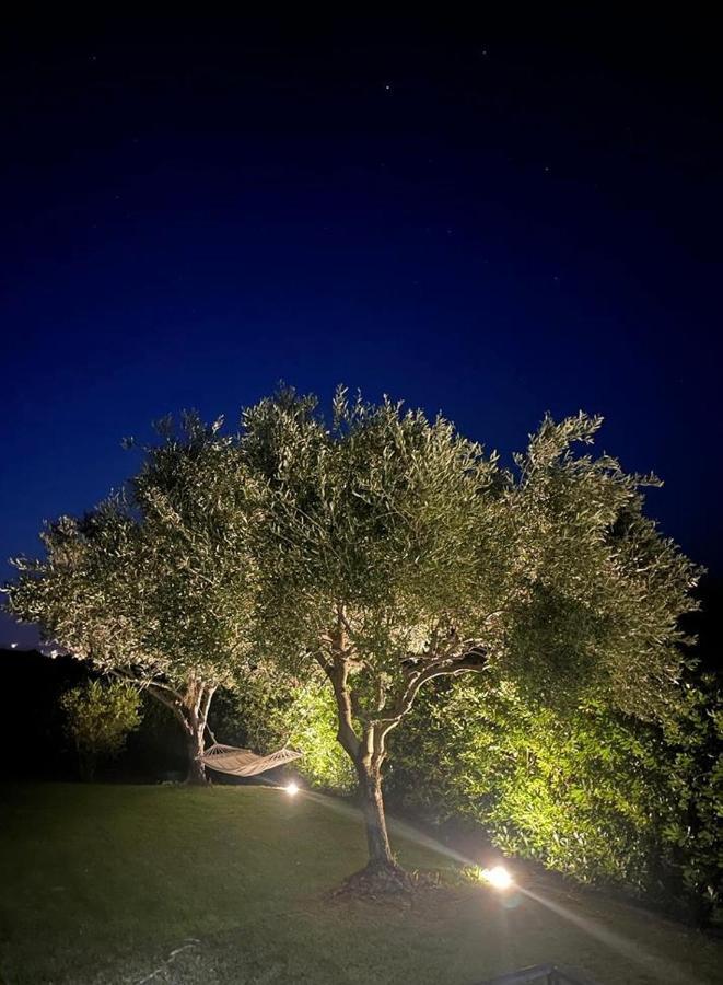 Villa Aurelia San Teodoro  Eksteriør bilde